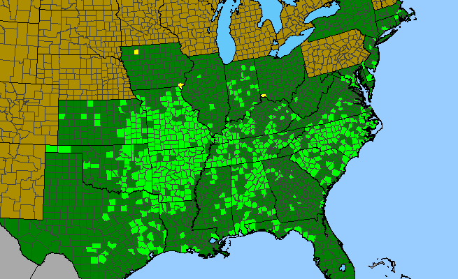 The range of Elymus glabriflorus var. australis